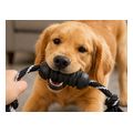 paxnidi skyloy kong extreme dental rope mayro md extra photo 3