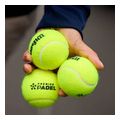mpalakia wilson premier padel balls 3 tube kitrina extra photo 5