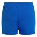 magio arena team solid swim shorts mple anoikto extra photo 5