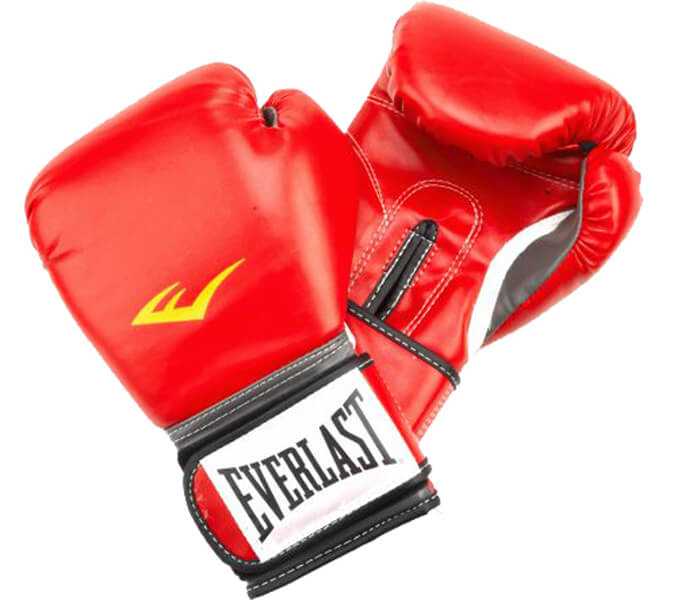 Перчатки Everlast Pro Style Grappling