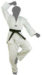 stoli taekwondo ramos leyki 130 photo