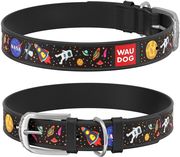 perilaimio waudog nasa mayro 35mm 46 60cm