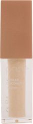 lip gloss pnoe vanilla coconut 4ml