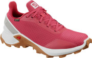 papoytsi salomon alphacross gtx roz uk 5 eu 38 photo