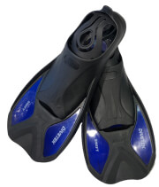 batraxopedila divetek swift mayra mple 40 41 photo batraxopedila divetek swift mayra mple 40 41 photo