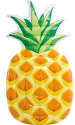 foyskoto stroma intex pineapple mat photo