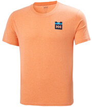 mployza helly hansen nord graphic hh t shirt peponi melanze photo