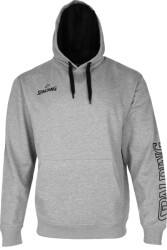 foyter spalding team ii hoody gkri melanze s photo