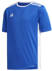 mployza adidas performance entrada jersey mple photo