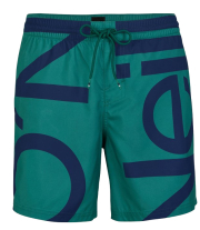 sorts magio o neill cali zoom shorts prasino photo