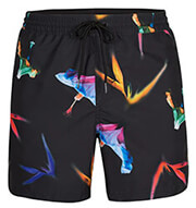 sorts magio o neill floral shorts mayro photo