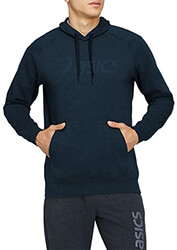 foyter asics big logo hoodie mple skoyro photo