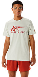 mployza asics tiger ss tee kitrino anoikto photo