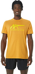 mployza asics tiger ss tee portokali photo