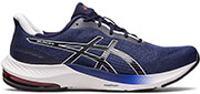 papoytsi asics gel pulse 14 mple skoyro photo