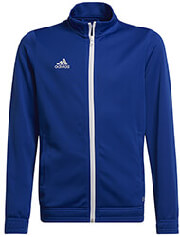 zaketa adidas performance entrance 22 sweatshirt mple roya 152 cm photo