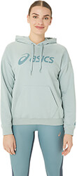 foyter asics big logo oth hoodie beraman photo