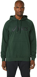 foyter asics big logo oth hoodie ladi photo