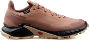 papoytsi salomon alphacross 5 gore tex roz photo
