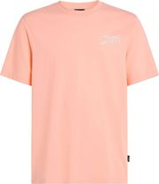 mployza o neill box logo t shirt korali photo