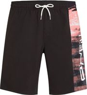 sorts magio o neill retro 19 swimshorts mayro korali photo