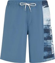 sorts magio o neill retro 19 swimshorts mple m photo
