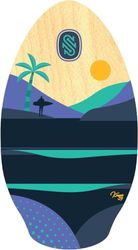 skimboard skim one 39 kauai photo