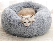 krebati glee geneva skoyro gkri xs 50x50cm