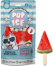 pagoto pup ice karpoyzi 3tmx 90gr