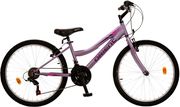 podilato orient excel 24 girl 21s mob photo