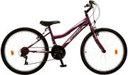 podilato orient comfort girl 24 21s mob photo