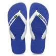 sagionara havaianas brasil logo mple photo