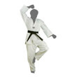 stoli taekwondo ramos leyki photo