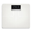 zygaria garmin index smart scale leyki photo zygaria garmin index smart scale leyki photo