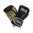 gantia everlast powerlock hook and loop training mayra xrysa photo