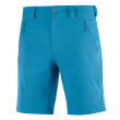 sorts salomon wayfarer short mple 54 photo