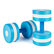 barakia eva speedo aqua dumbell galazia 2 tmx photo