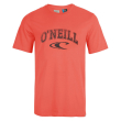 mployza o neill state t shirt portokali photo