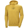 foyter helly hansen f2f organic cotton hoodie kitrino photo