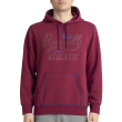 foyter russell athletic tonal pullover hoody byssini photo