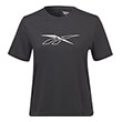 mployza reebok workout ready supremium tee mayri photo