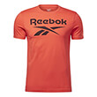 mployza reebok sport identity big logo t shirt kokkini photo