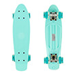 skateboard fish mini cruiser me led rodes 225 beraman photo