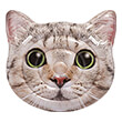 foyskoto stroma intex cat face island photo