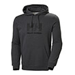 foyter helly hansen hh logo hoodie gkri skoyro photo