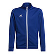 zaketa adidas performance entrance 22 sweatshirt mple roya photo