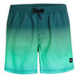 sorts magio o neill jack s cali gradient 15 prasino photo