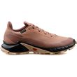 papoytsi salomon alphacross 5 gore tex roz photo