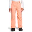 ������� ��������� ROXY BACKYARD SNOW PANT �������� (XL/14 ����/164 CM)
