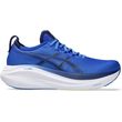 papoytsi asics gel nimbus 27 mple roya photo
